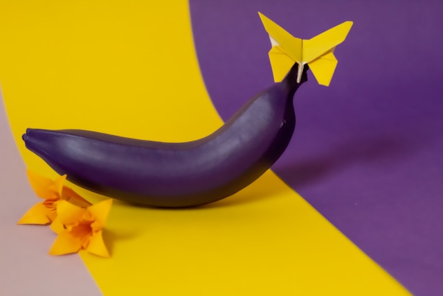 ovoce